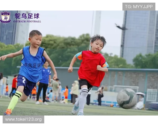 欧博真人足球让你在家也能体验真实体育场的足球盛宴,感受比赛的热血沸腾 欧博真人足球让你在家也能体验真实体育场的足球盛宴,感受比赛的热血沸腾