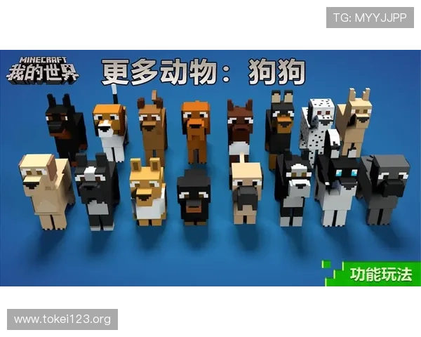 探索凯发移动版的各种功能,提升你的游戏体验与乐趣 探索凯发移动版的各种功能,提升你的游戏体验与乐趣