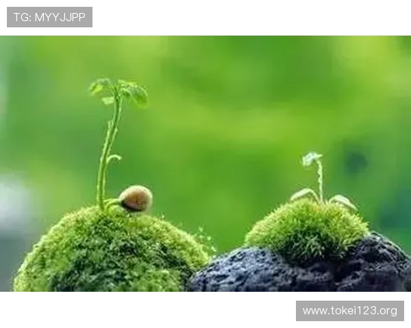 凯发真人手机版积极响应国家政策，推动绿色健康博彩新发展路径